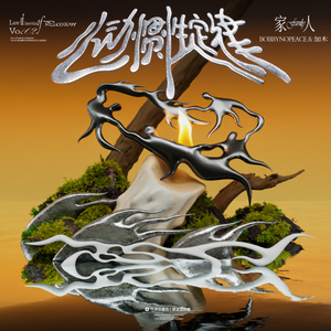 欧美老妇AⅤ片AAAA片
